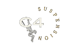 c4suspension