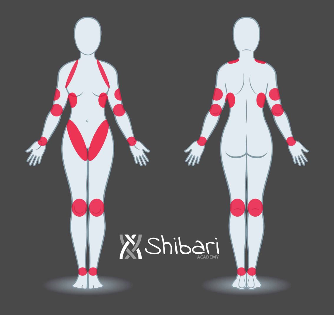 Front and back body map marking the pressure-sensitive zones to keep concentrated rope tension off of